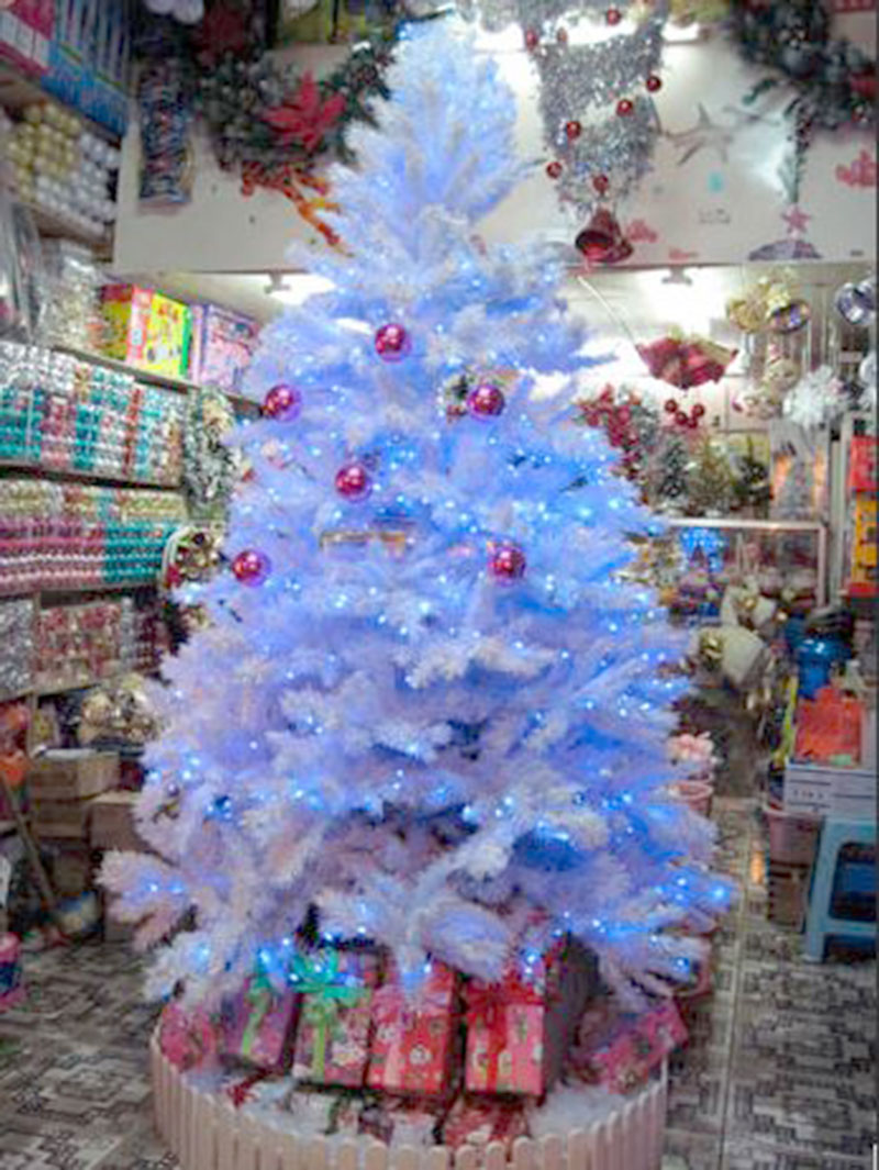 Cây thông xanh PE tán rộng - Đủ size - Bazaar Decor