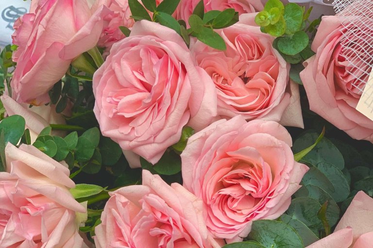 Ý nghĩa của tên hoa hồng Ohara: Nó tượng trưng cho tình yêu ngọt ngào và yên bình